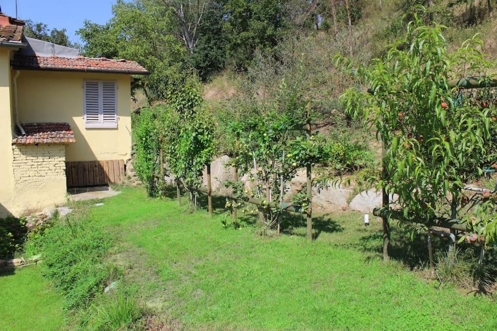Casa Barulli - Tuscany San Giovanni Valdarno Exterior photo